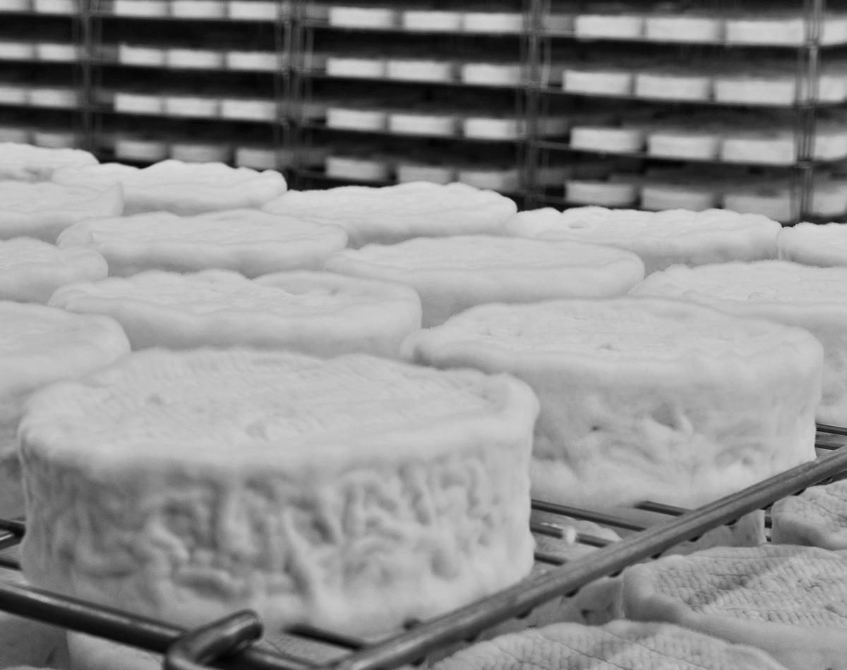 Fromage bons mayennais croute fleurie