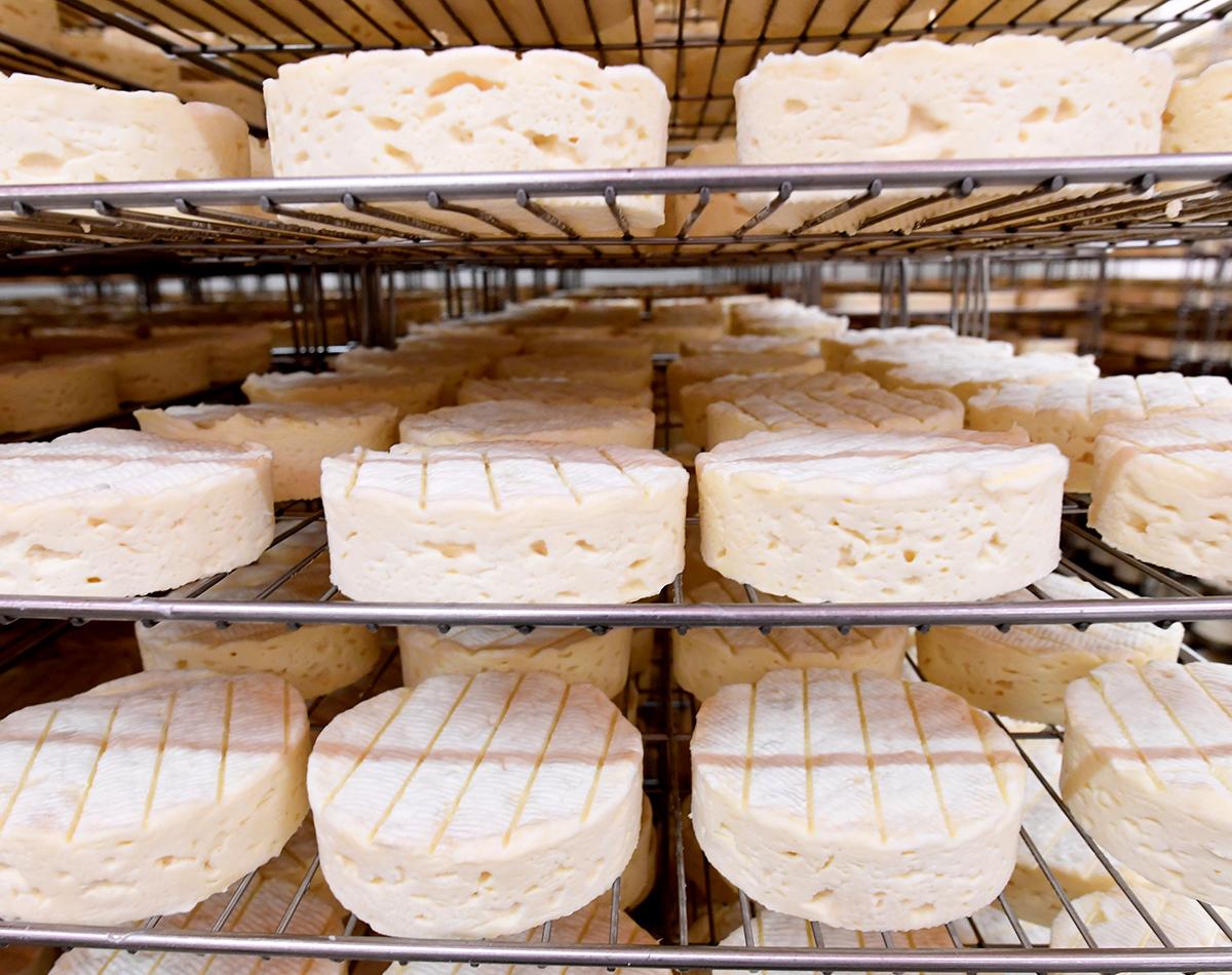 fromages de qualité Bons mayennais