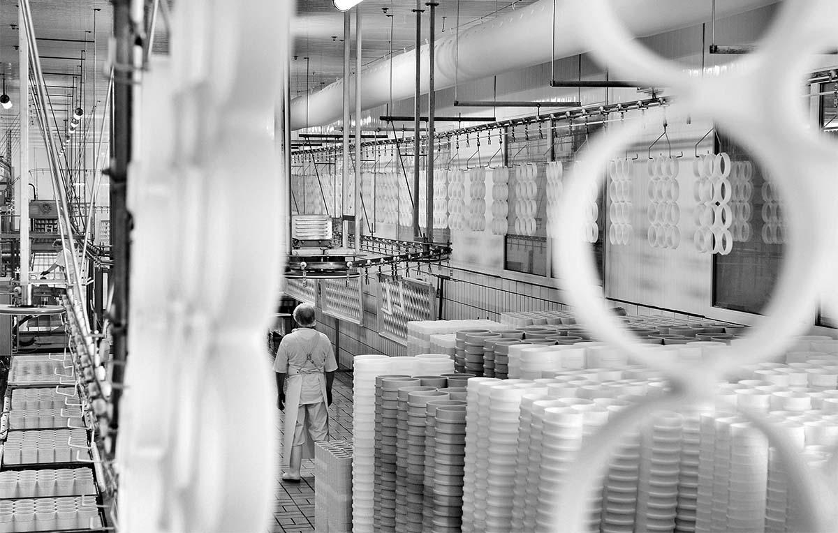 Fromagerie aujourd'hui