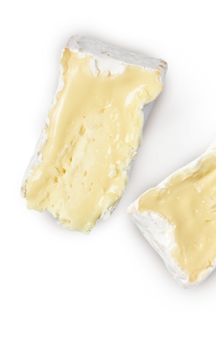 camembert