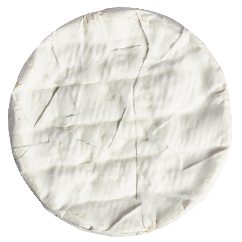 Camembert dessus